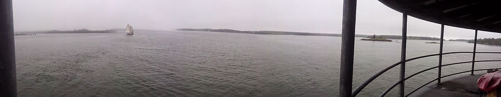 Nature from the lighthouse