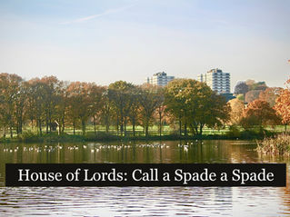 Debate on Clause 222C of the English Devolution Bill, House Of Lords, 5th March 2026 (Call a Spade a Spade)