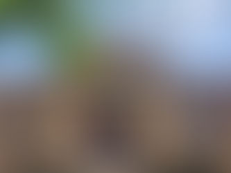 Más sobre la legitimación de las Asociaciones en la vía contencioso-administrativa (STS 04/02/2026)