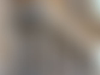 La inadmisión a trámite de la solicitud de revisión de oficio por carencia manifiesta de fundamento