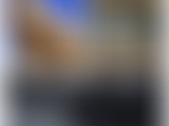 ¿Cabe otorgar a un organismo técnico la potestad de interpretar un reglamento local? STS 15/12/2022