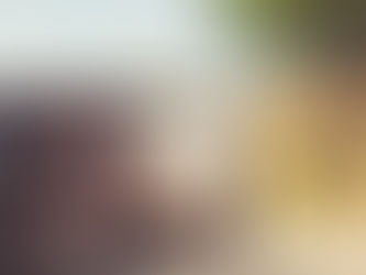 Cabe delegar la resolución de los recursos de reposición en el mismo órgano que dictó la recurrida