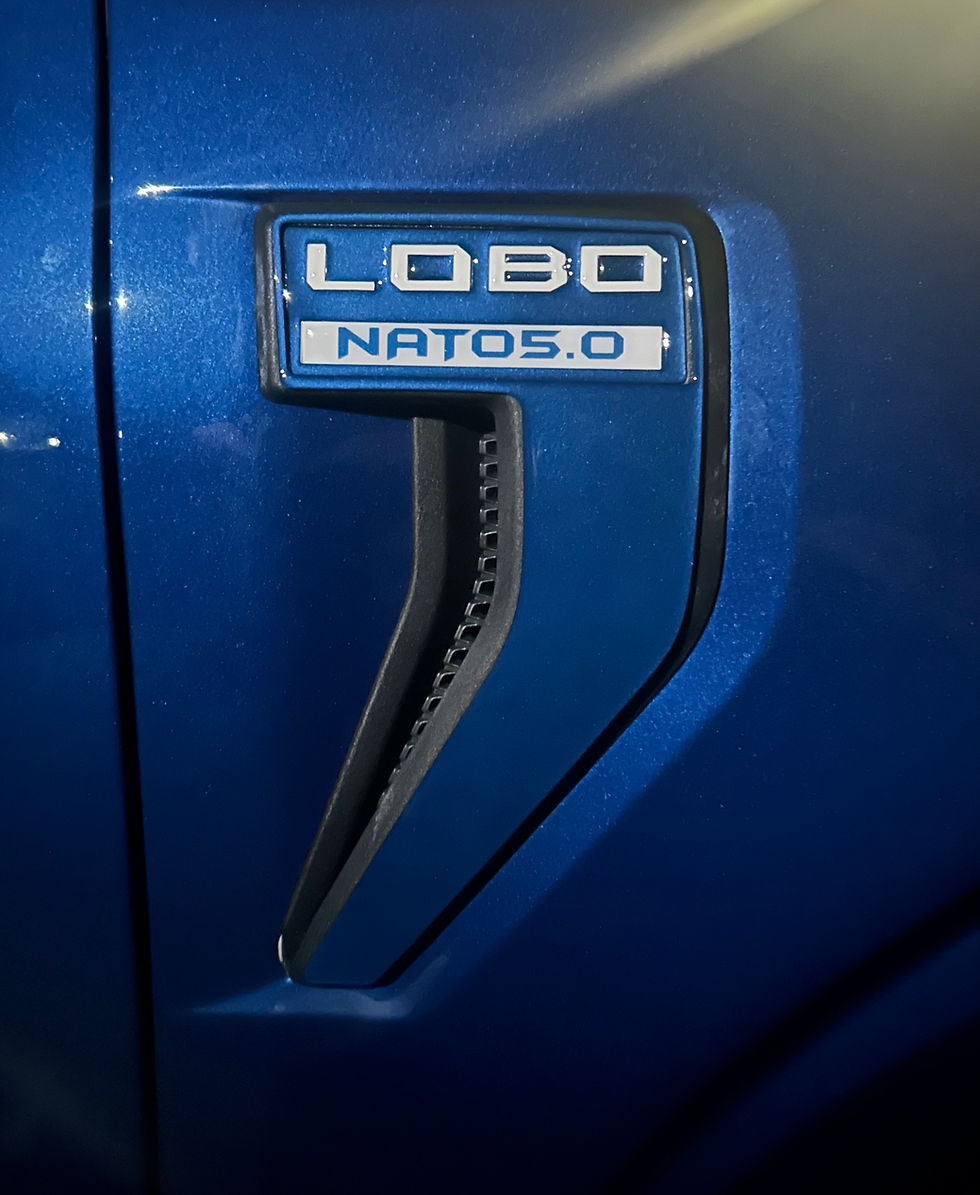 Thumbnail: 2021+ LOBO Fender Emblem Replacements (insert only)