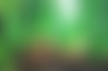 洋蔥和紅蔥頭：我們哪裡不一樣？！