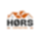 Motion Web Design -profile pic.png