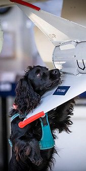 WhatsApp Image 2021-10-07 at 10.36.56 (1).jpeg