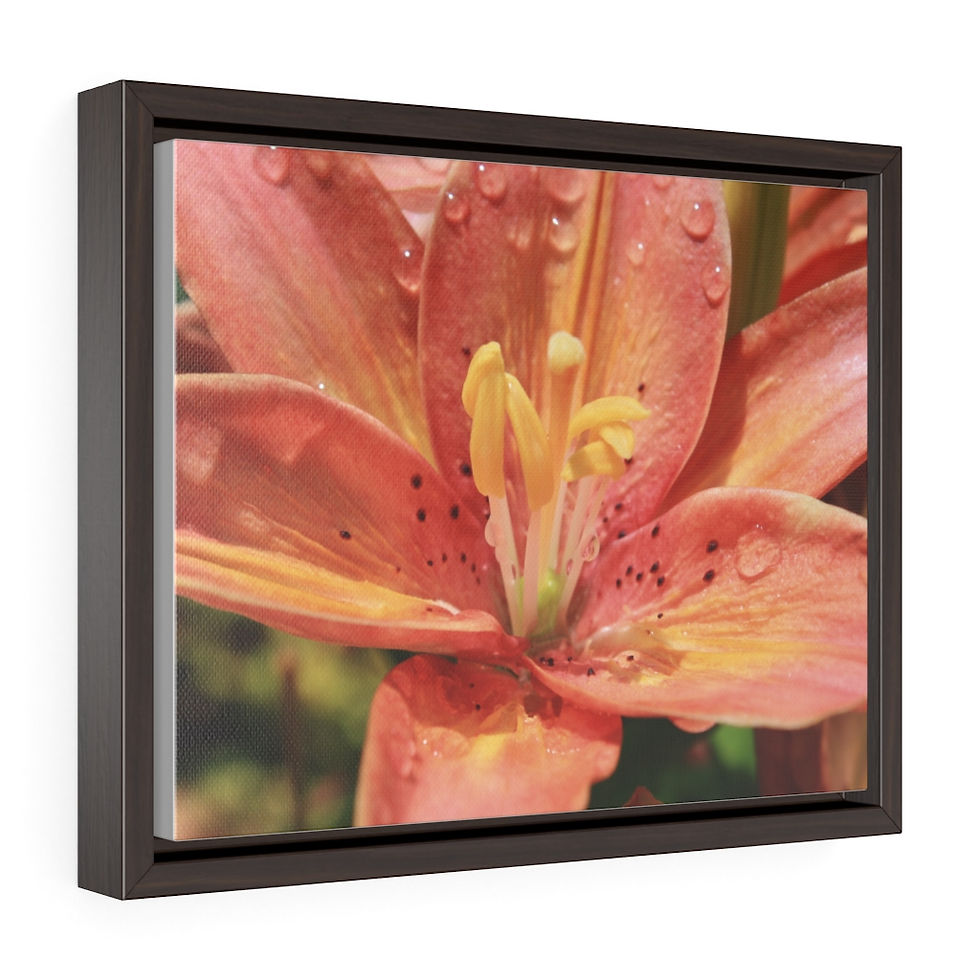 Thumbnail: "Pink Lilly" Horizontal Framed Premium Gallery Wrap Canvas Print