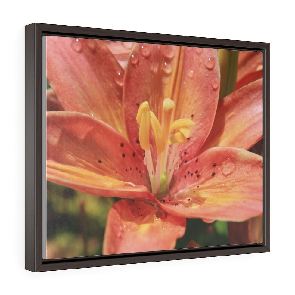Thumbnail: "Pink Lilly" Horizontal Framed Premium Gallery Wrap Canvas Print