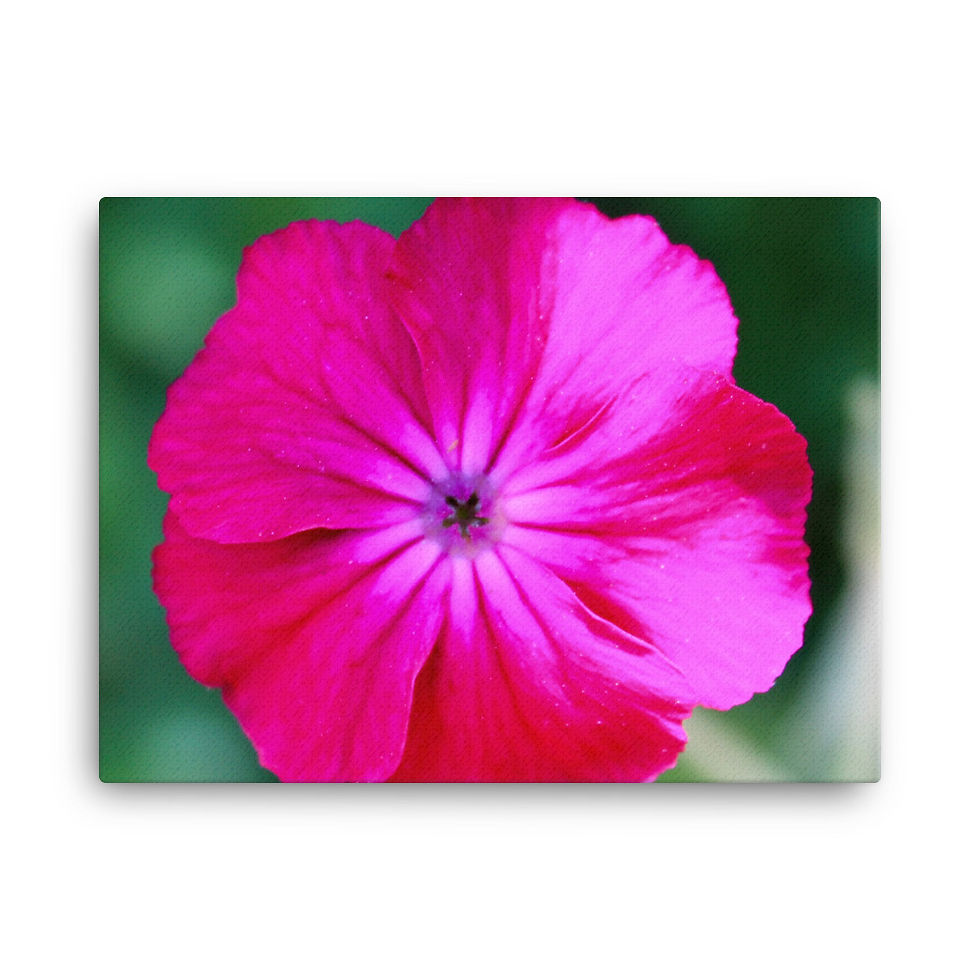Thumbnail: "Beauty" Canvas Print