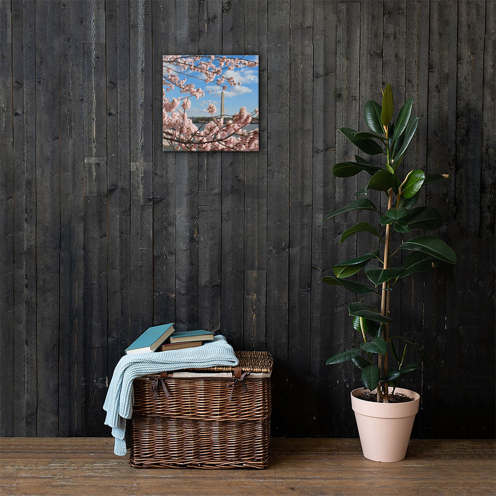 Thumbnail: "Monumental Cherry Blossom Time" Print