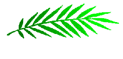 ncE78MxAi.gif