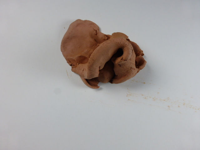P1100272