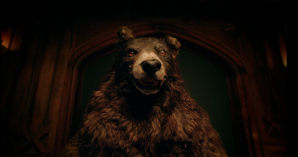 Screenshot 2025-01-29 at 5.01.14 PM.png