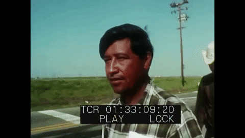 giphy (8).gif