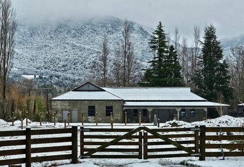 Winter Beauty