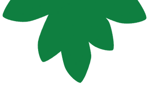 hoja-verde.png