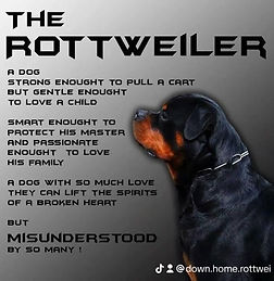 Rottweiler quote