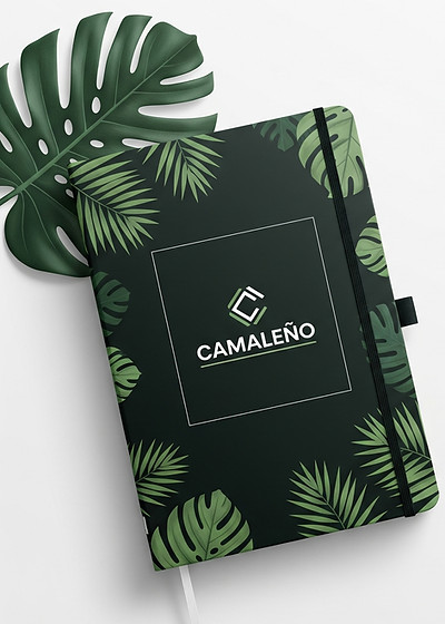 Gemini_Generated_Image_gm2eu2gm2eu2gm2e_