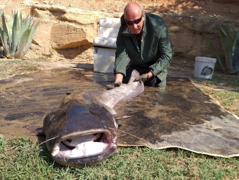 WhatsApp Image 2025-06-12 at 12.18.16_c15e8ca0.jpg