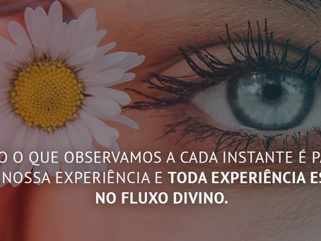 Fluxo Divino