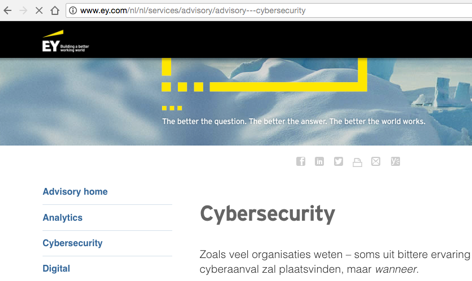 ernst-young-different-language-example-2
