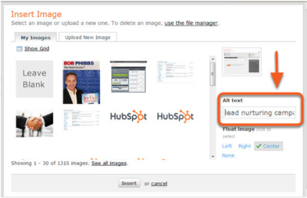 hubspot example-alt text
