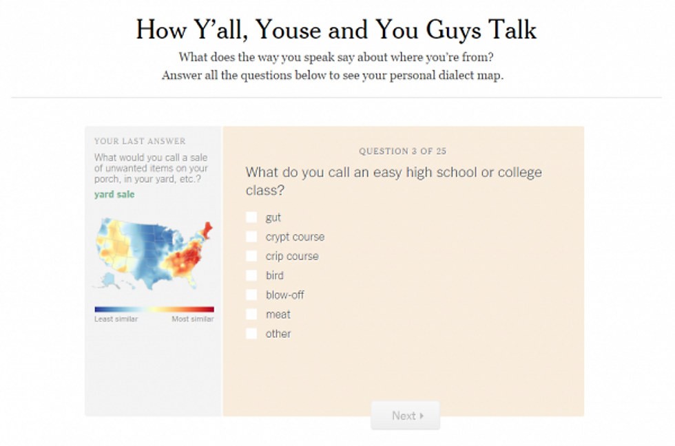 linguistic-quiz-example-image 1