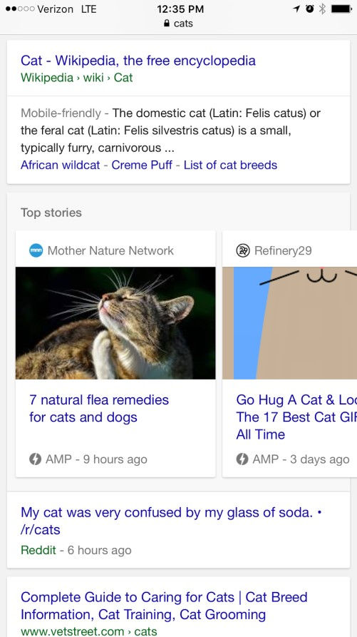 Google-AMP