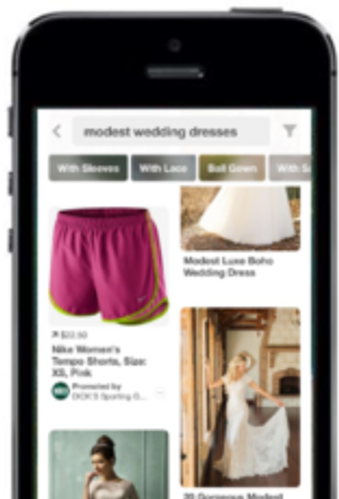 pinterest-native-ad-dicks-sporting-goods