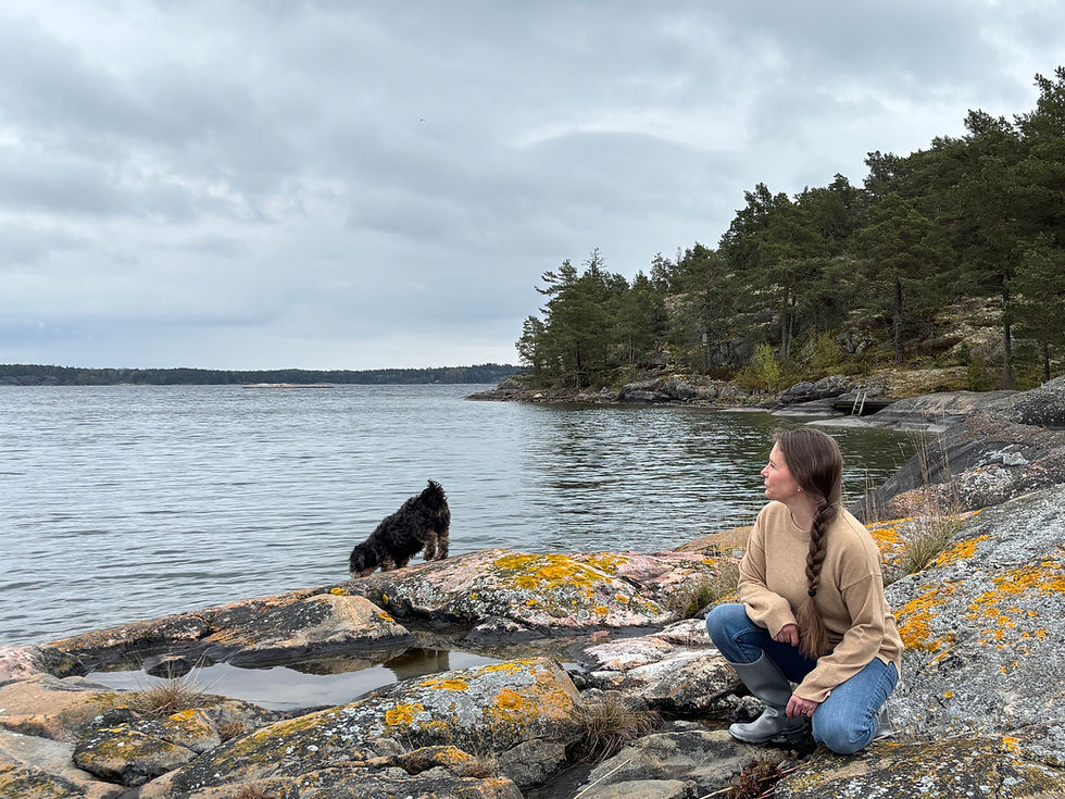 Merenrantamaisema, joka symboloi rauhaa ja toivoa päihteiden käyttäjän läheisille