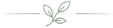 123.png