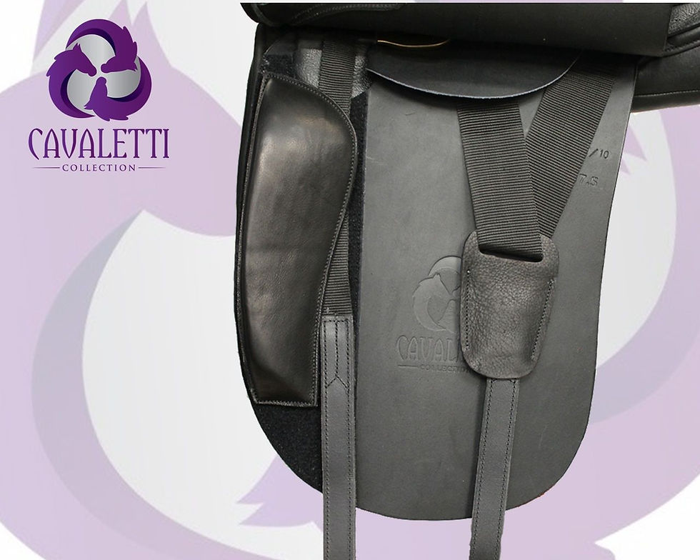Thumbnail: Classic Dressage Saddle | Cavaletti Collection