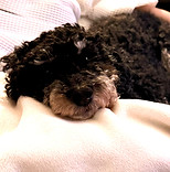 d4ae931d-f5d5-4a09-ae59-71fbde3ef239_edi