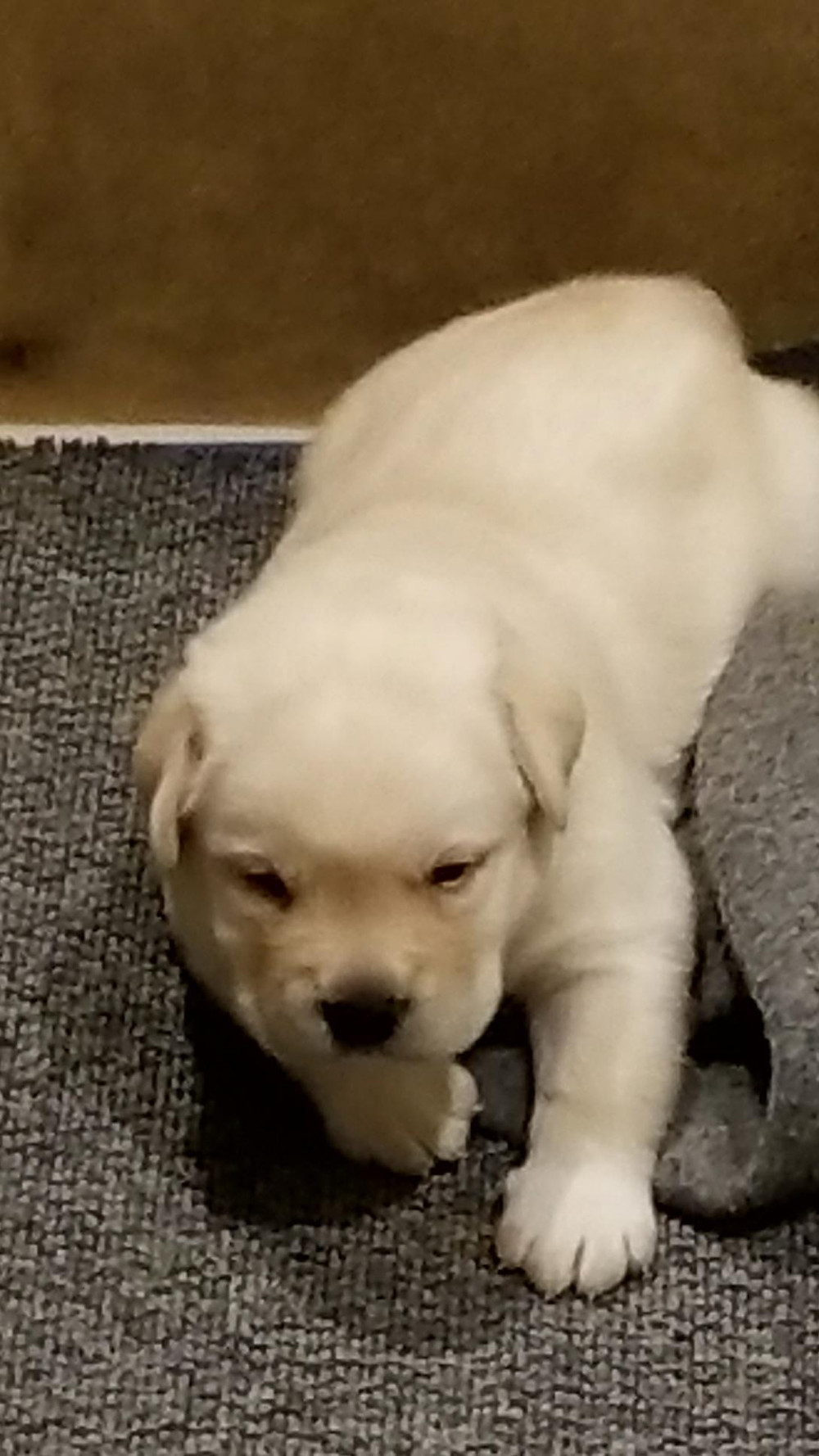 This little boy is now 5.5 lbs!