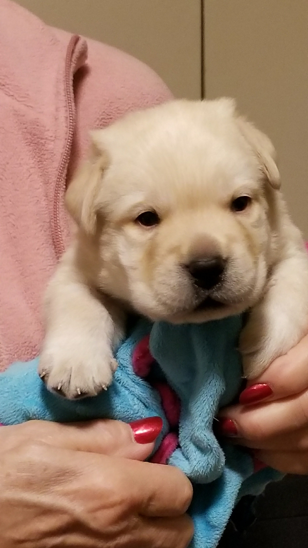 3 weeks and growing like a weed!