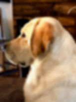 image1.jpeg