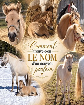 Et vous, comment choissez-vous le nom de vos poulains ?