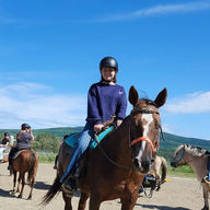 Nos cheval de cours
