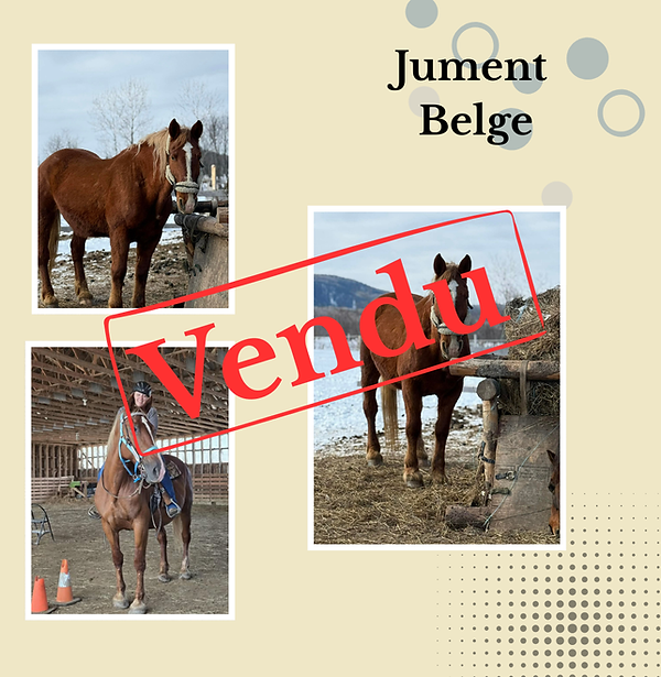 vendu
