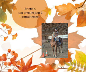 Brienne premier jour à l'entrainement