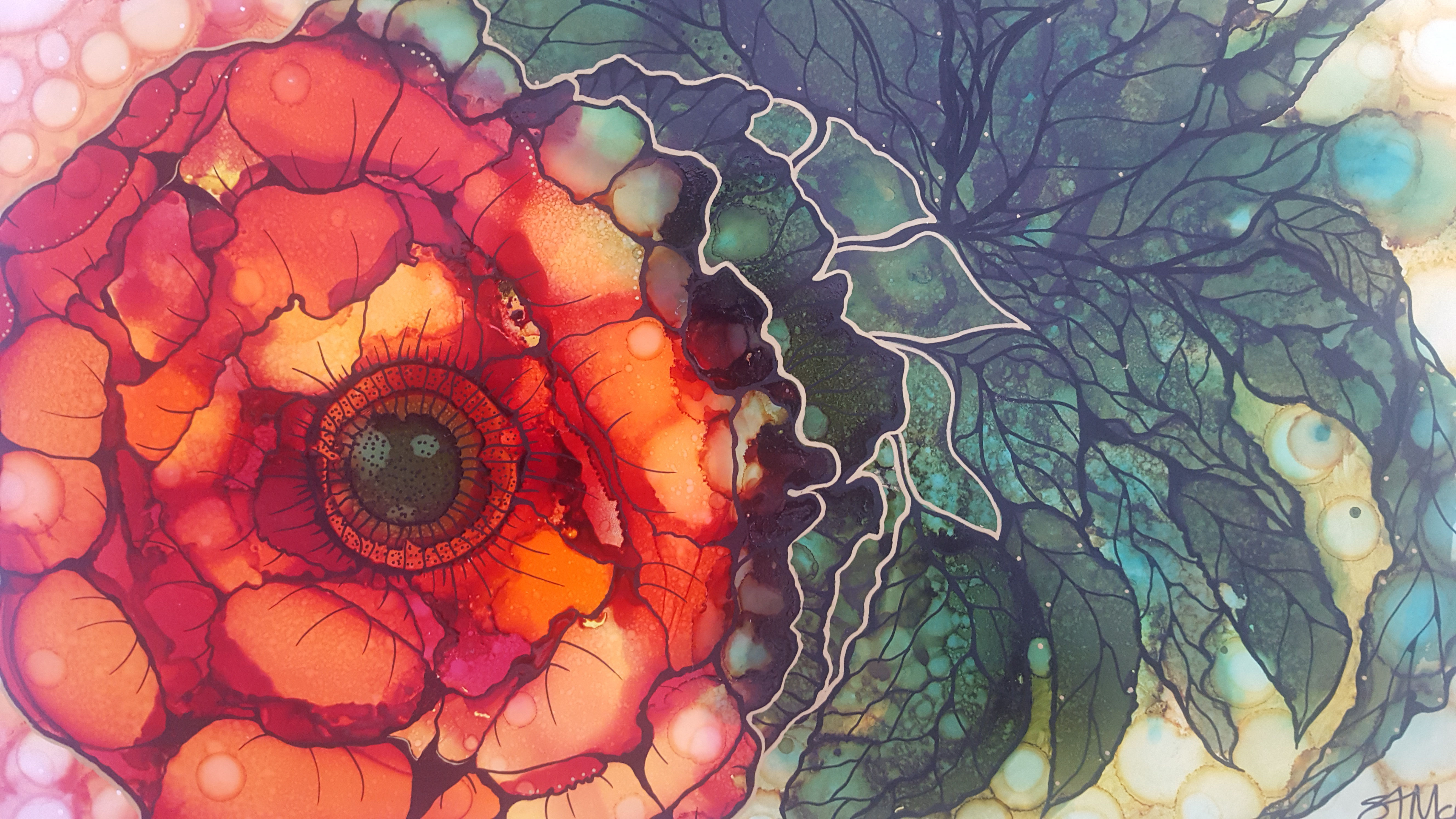 It's Raining in Raro