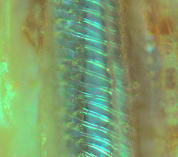 rad x500b_edited_edited.jpg