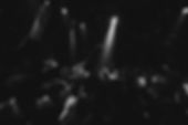 7B7CCAA4-CAC4-4665-B87E-F94221B254C6.JPEG