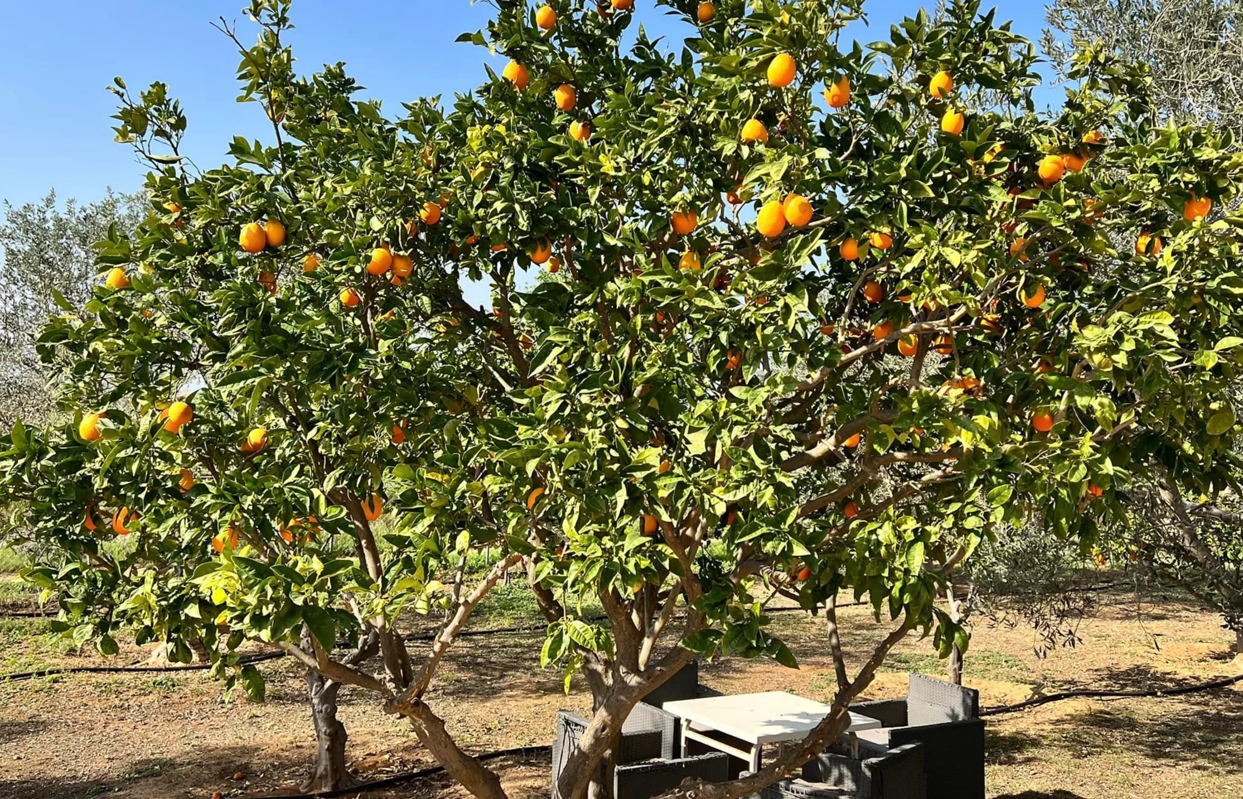 holina_cyprus_65-scaled.webp