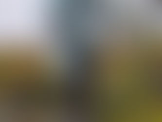 Where to save when just start working