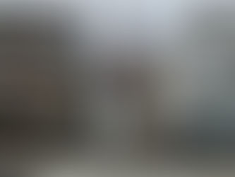 Four Opportunities in the pandemic market