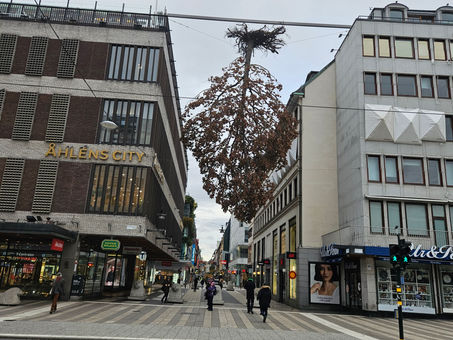 Four Opportunities in the pandemic market