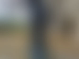 Delaying Medicare Part D- Living Dangerously?