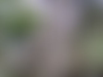 Recent Retirement Rule Changes by Congress