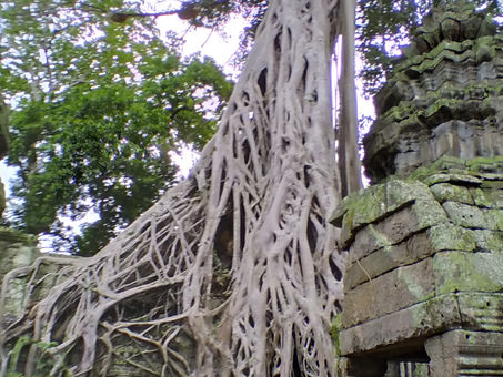 Recent Retirement Rule Changes by Congress